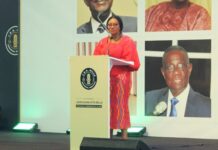 Late Prof Mills would be outraged by ‘galamsey’ menace – Charlotte Osei