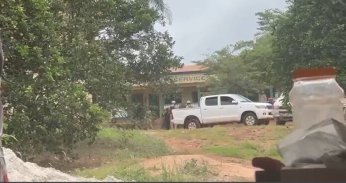 Forestry Comission raid