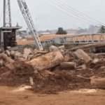 Ayum Timber Company faces collapse as illegal logging depletes forest reserves