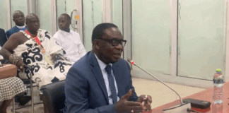 Deputy Minister-Designate for Foreign Affairs, James Gyakye Quayson