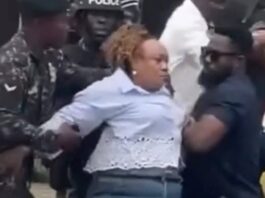 Nothing justifies assault on Hawa Koomson – Dr Tony Aidoo