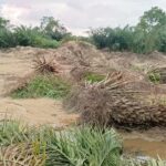 Residents cry foul over illegal sand winning in Abokyikrom