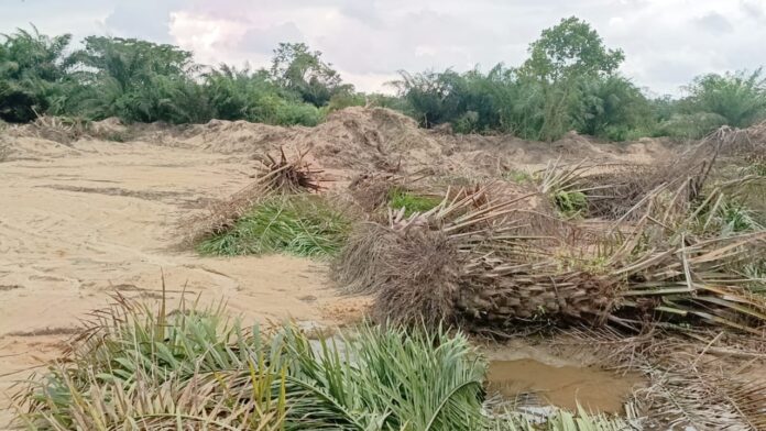 Illegal sand winners invade farms at Bibiani Anhwiaso Bekwai