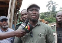 Â Forestry Commission raises alarm over illegal sawmills in Ahafo Region
