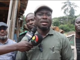 Mahama is determined to fight galamsey – Elikem Kotoko