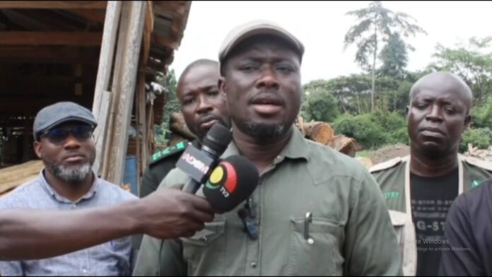 Elikem Kotoko Forestry Commission