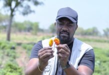 Plant the seed early – John Dumelo urges Agriculture education in basic schools