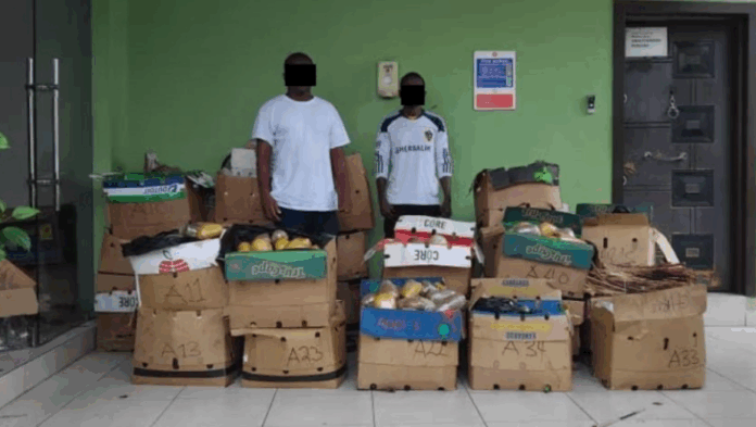 NACOC seizes cannabis at Swissport Terminal