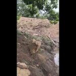 Illegal miners seize farmlands, pollute Black Volta tributary in Bole-Bamboi