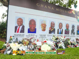 NPP respects helicopter crash victims; protest wasn’t meant to dishonour them – Salam Mustapha