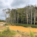 Galamsey: Gov’t has failed to keep its word – TUC Deputy Secretary