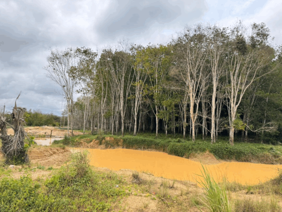 Galamsey