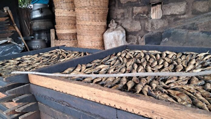 Burning Ovens, Empty Trays: How Ghana’s fishmongers are losing the sea
