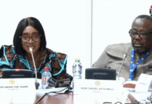 PAC orders arrest of absconded Energy Ministry geologist