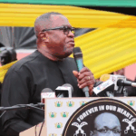 Helicopter crash should inspire stronger fight against galamsey – Ofosu Ampofo