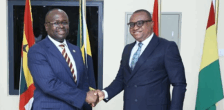 Deputy Minister of Defence, Brogya Genfi,