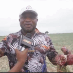 Kwahu Onion farmers urge government to regulate foreign imports