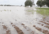 NADMO alerts North East residents ahead of Bagre Dam spillage
