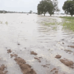 Bagre Dam Spillage claims life of 55-year-old farmer