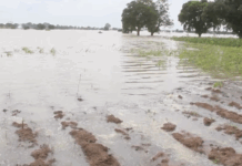 Bagre Dam Spillage claims life of 55-year-old farmer