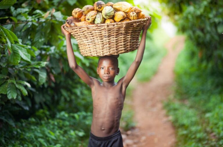 Inside Ghana’s Cocoa: The pressure and the children caught in between