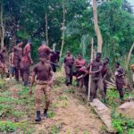 Sunyani Central Prison undertakes large-scale farming to boost inmate welfare Central Prisons engages in a large-scale farming project to improve nutritional meals for inmates-PRO