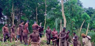 Central Prisons engages in a large-scale farming project to improve nutritional meals for inmates-PRO