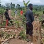 Bibiani forest guards allegedly assault farmers at Aboduabo