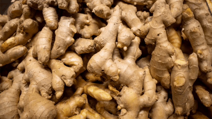 ginger
