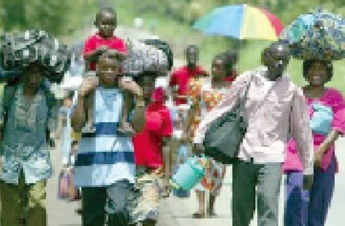 refugees (Copy)