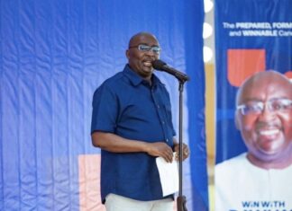 NPP presidential race: Separating fact from fiction on the ‘outsider’ tag