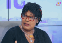 Ghana risks importing water if… – Nana Yaa Jantuah warns