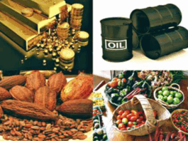 Ghana’s total export earnings hit US$31.1bn in 2025; trade balance reaches record US$13.6bn Ghana’s total export earnings hits $17bn by August 2025