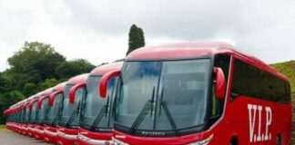 VIP Transport adjusts departure times over Bole curfew