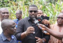 Feed Ghana: Deputy Agric Minister pledges support for school farms in Ahafo region