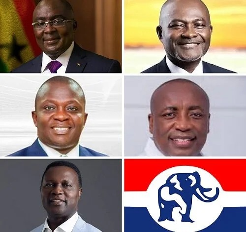 NPP flagbearer aspirants