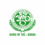 GAWU calls for state of emergency over galamsey, warns of looming food crisis