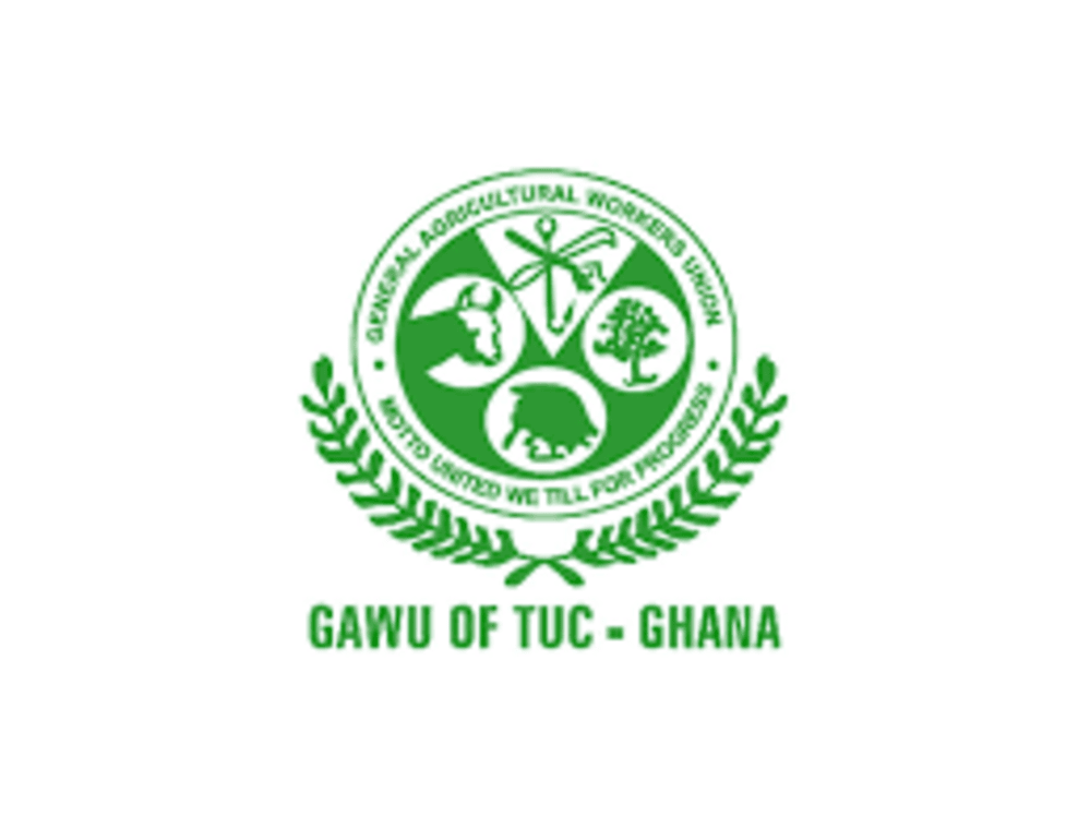 GAWU calls for state of emergency over galamsey, warns of looming food crisis