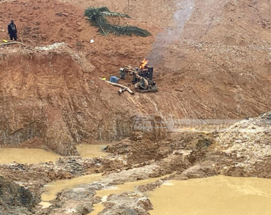 ‘We don’t pursue illegal miners based on party colours’ – NAIMOS