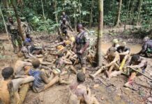 NAIMOS task force arrests 28 illegal miners in Cape Three Point forest reserve