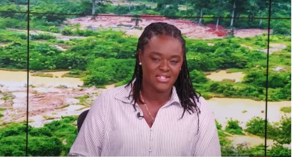 Prof. Nana Ama Browne Klutse, Executive Director of the EPA