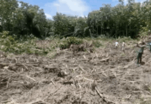 JoyNews uncovers Chinese-backed galamsey on River Bisi despite MCE’s denial