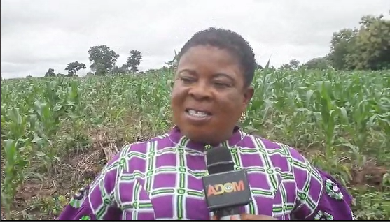 Kwahu Afram Plains North District Chief Executive (DCE), Kate Mawusi Babanawo,