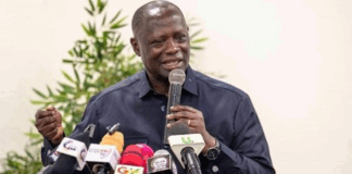 Gov’t orders first major audit of mining firms in a decade