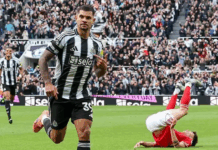 Newcastle maintain pressure on Postecoglou with win