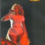 Top Ghanaian Stars light up Shatta Fest 2025 with electrifying performances