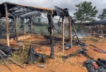 Galamsey: Ghana Institute of Foresters raises alarm over armed miners