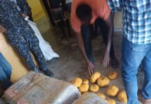 Four arrested with 2,250 parcels of suspected Indian hemp in KEEA