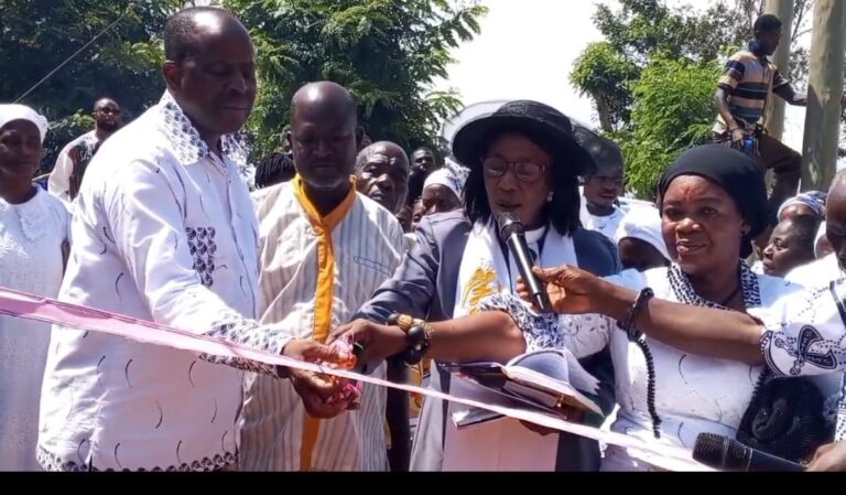 Gomoa Wassa Gyasehene constructs 7 boreholes for 5 communities amid water crisis