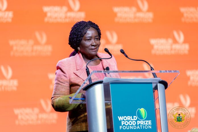 Vice President Prof. Jane Naana Opoku-Agyemang